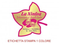 Etichette adesive per erboristerie, cosmetica, cosmesi (mm 41X40)  (cod.30M )
